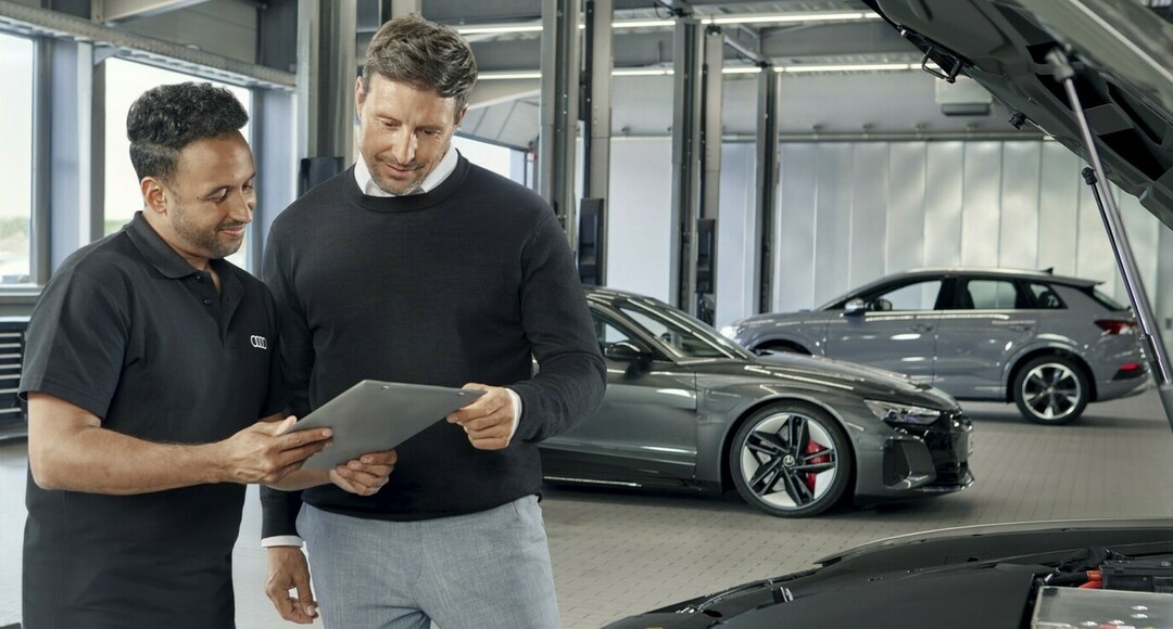 Audi kleparska in ličarska dela