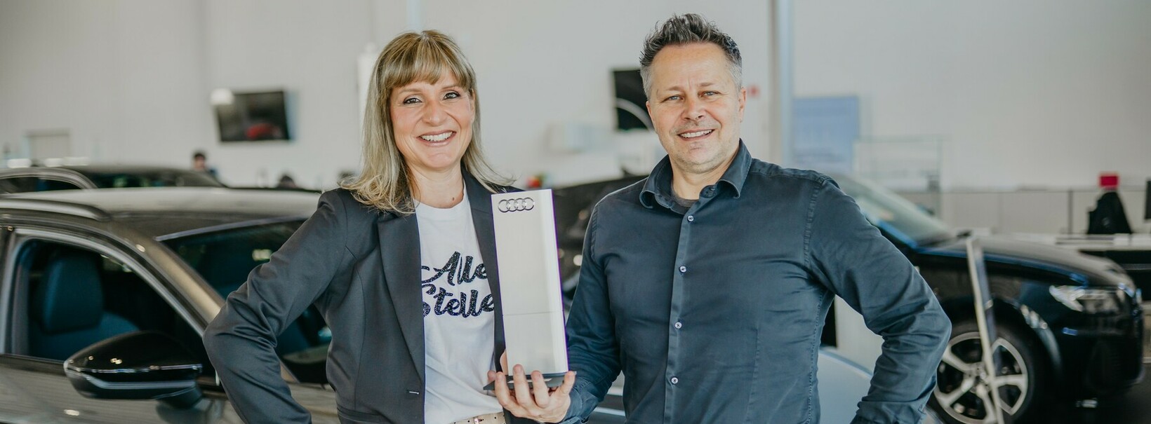 Vrhunski Audi servis Koper